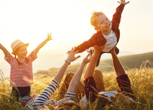 Максимальные накопления